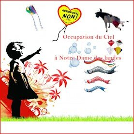 occupation-du-ciel-nddl